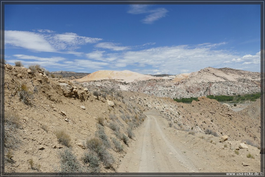 Brigham_Plains_2025_025