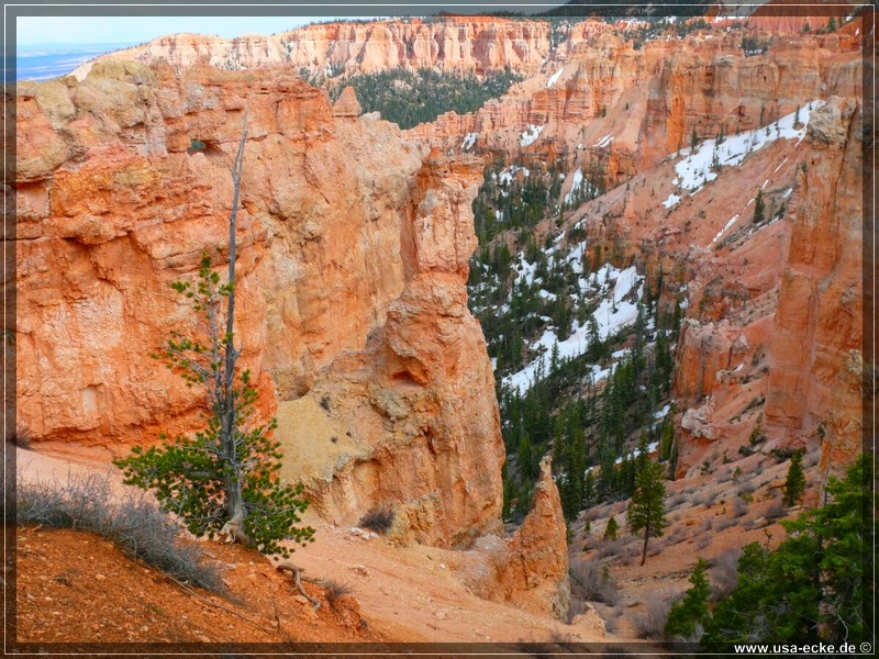 brycecanyon_07