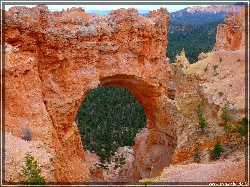 brycecanyon_14