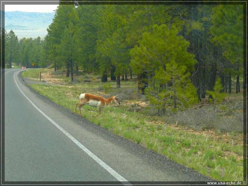 brycecanyon_27