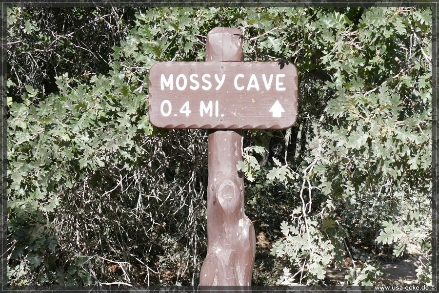 MossyCave2018_004