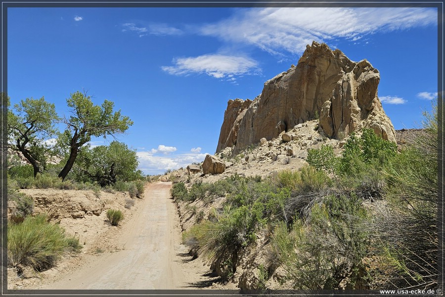CCR_2025_026