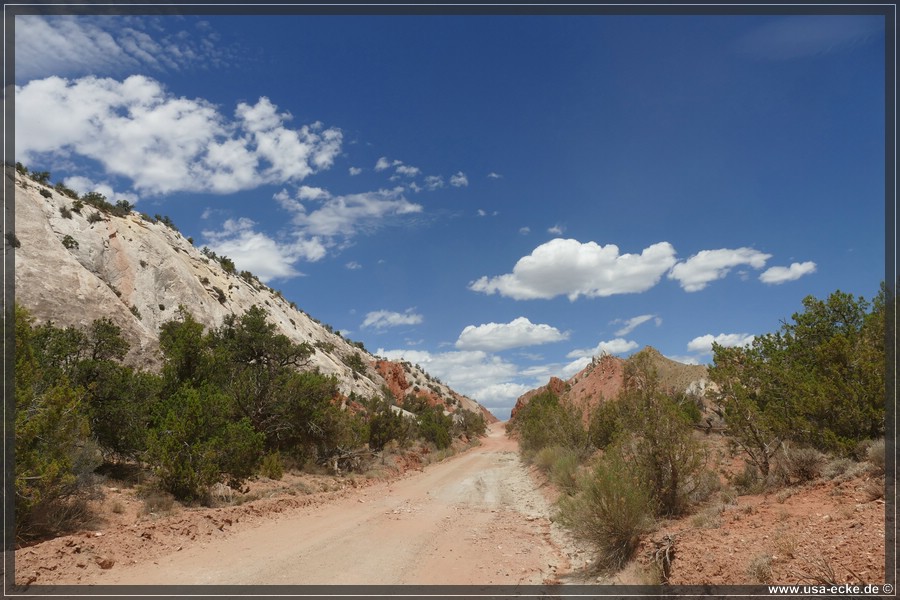 CCR_2025_029
