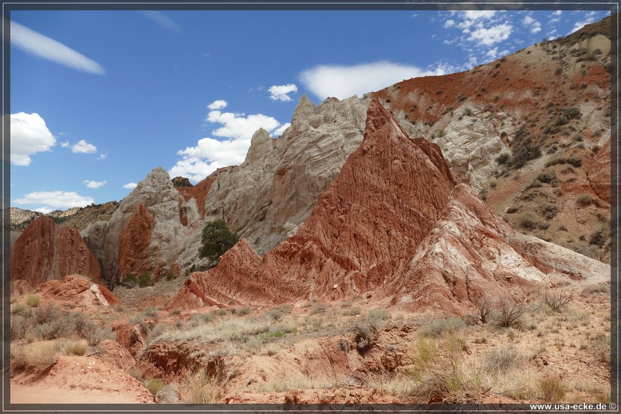 CCR_2025_033