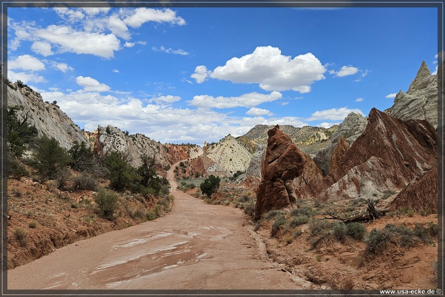 CCR_2025_034