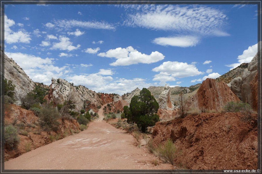 CCR_2025_039