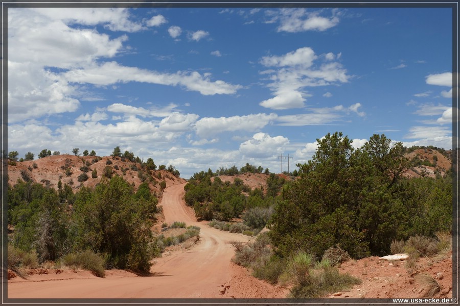 CCR_2025_061