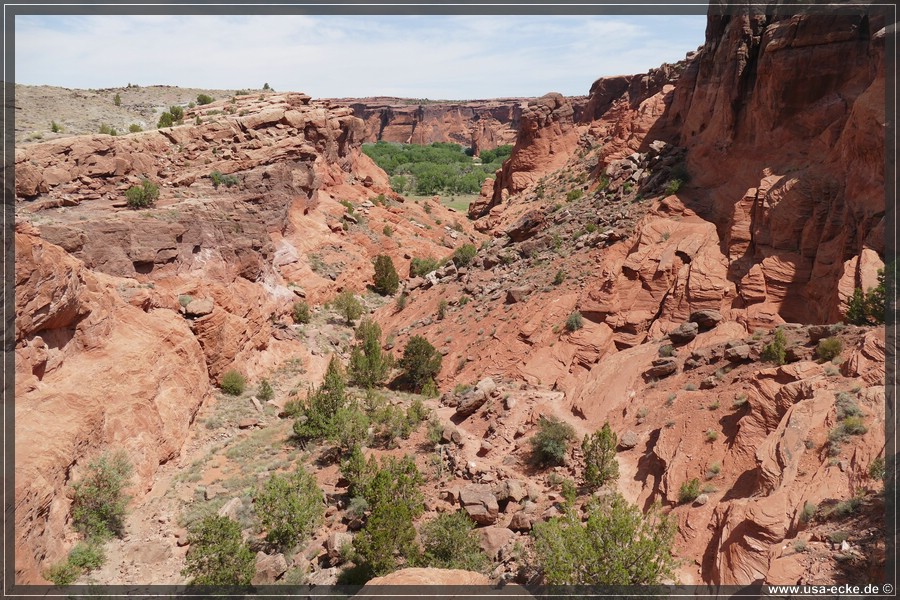 CanyonDeChelly2019_004