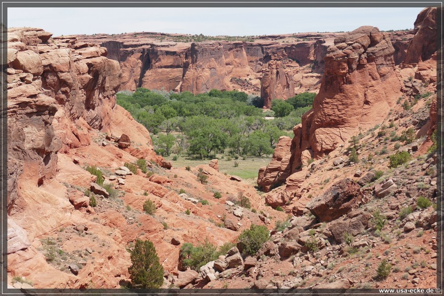 CanyonDeChelly2019_005