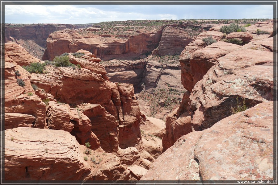 CanyonDeChelly2019_033