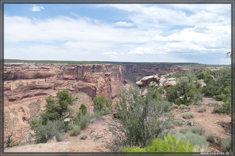 CanyonDeChelly2019_043