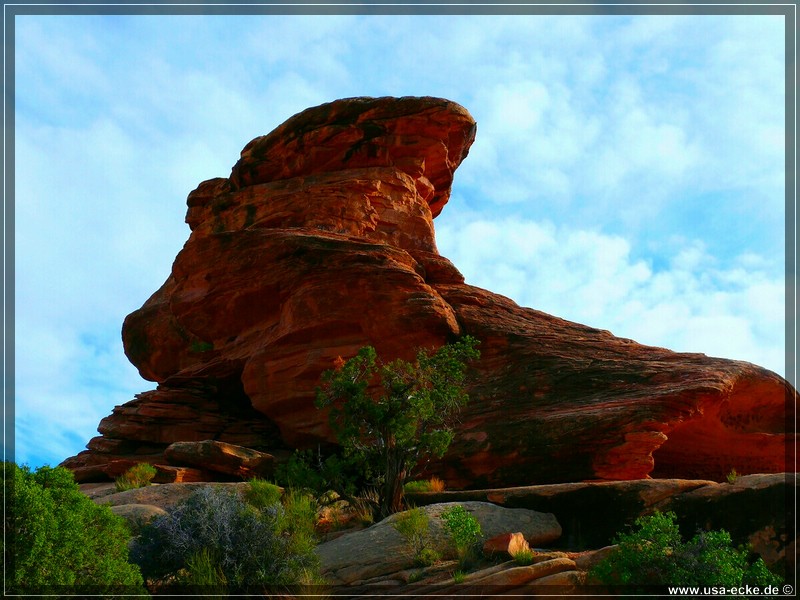 canyonlands_08