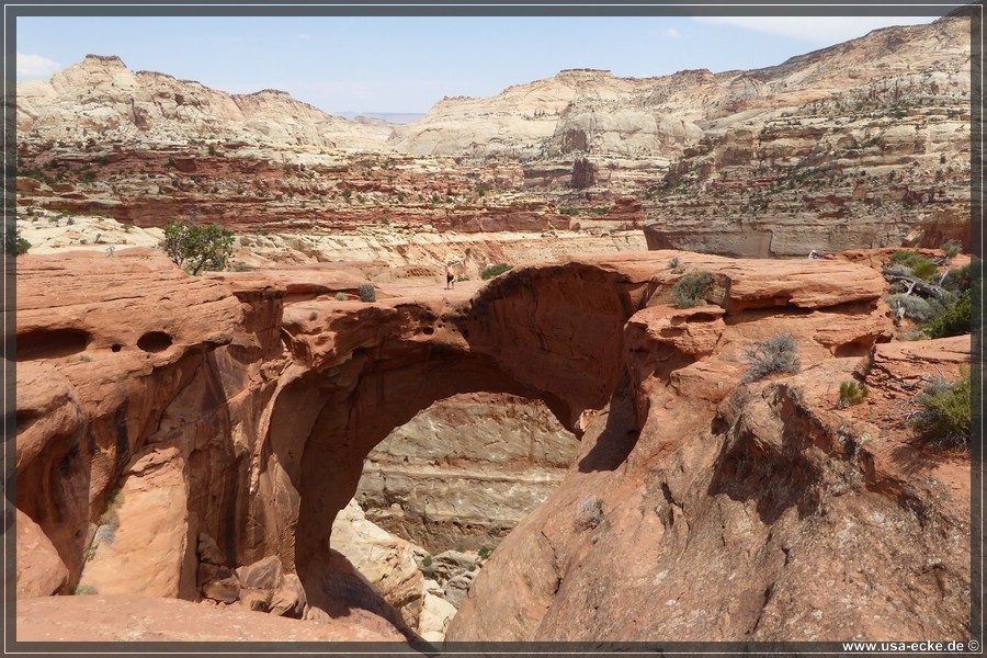 CassidyArch2017_033