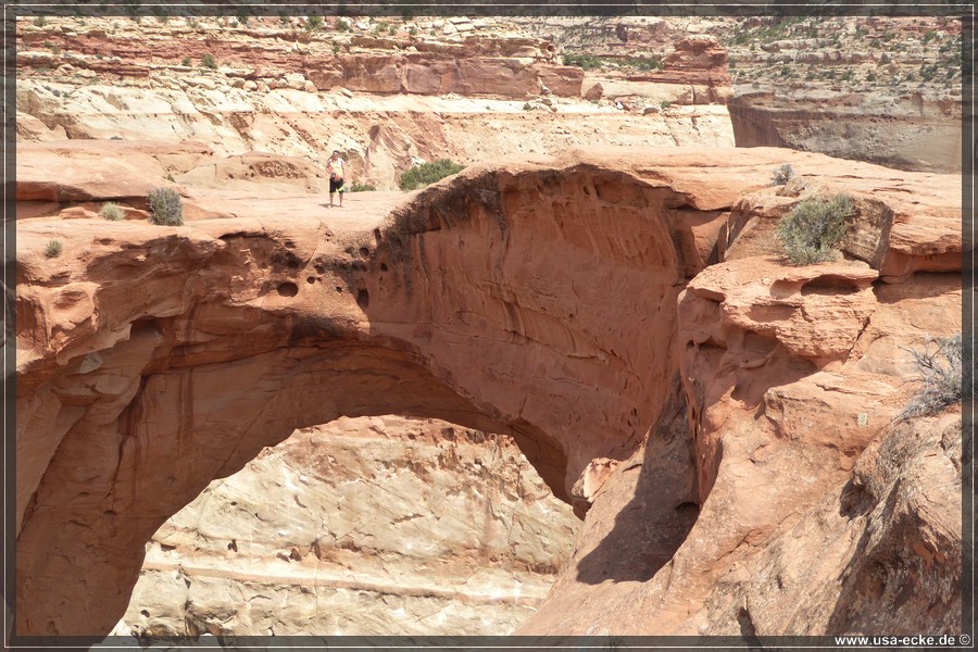 CassidyArch2017_034