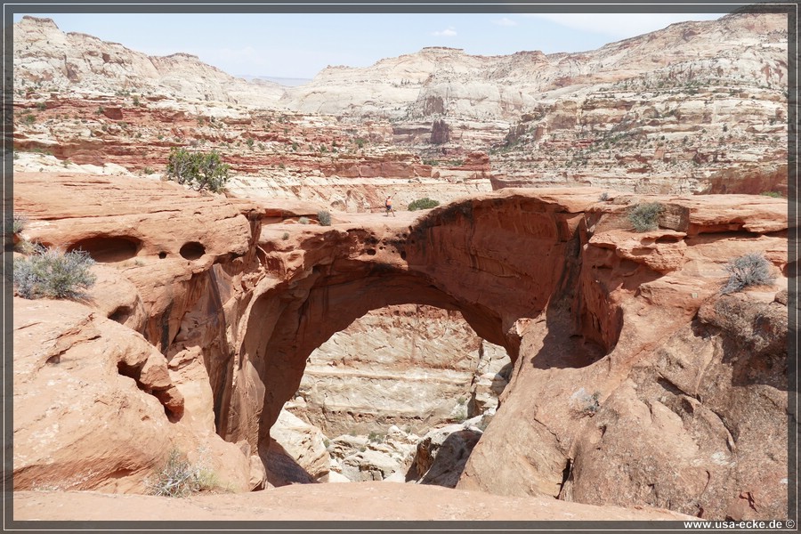 CassidyArch2017_038