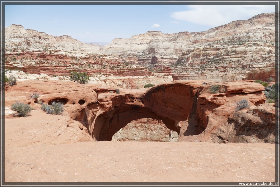 CassidyArch2017_040