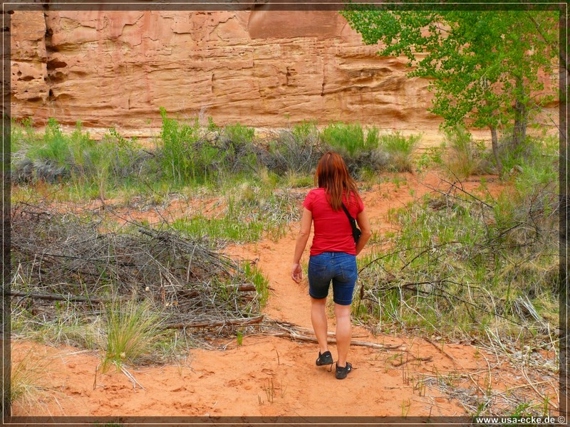 Capitol_Reef_12