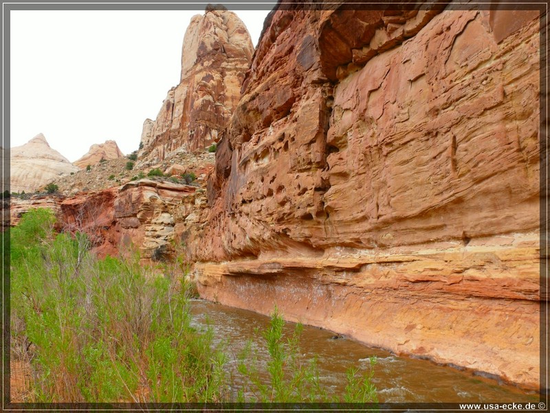 Capitol_Reef_13