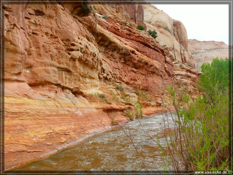 Capitol_Reef_14