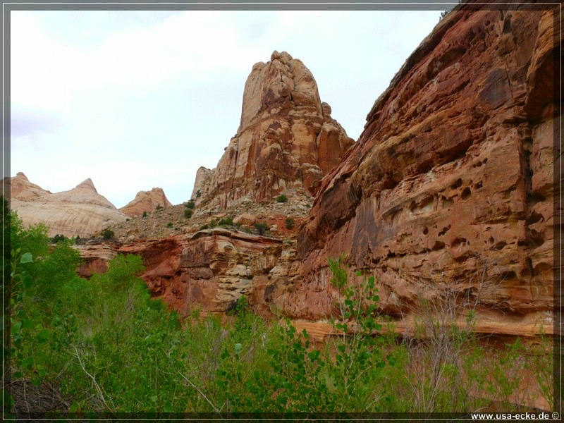 Capitol_Reef_15