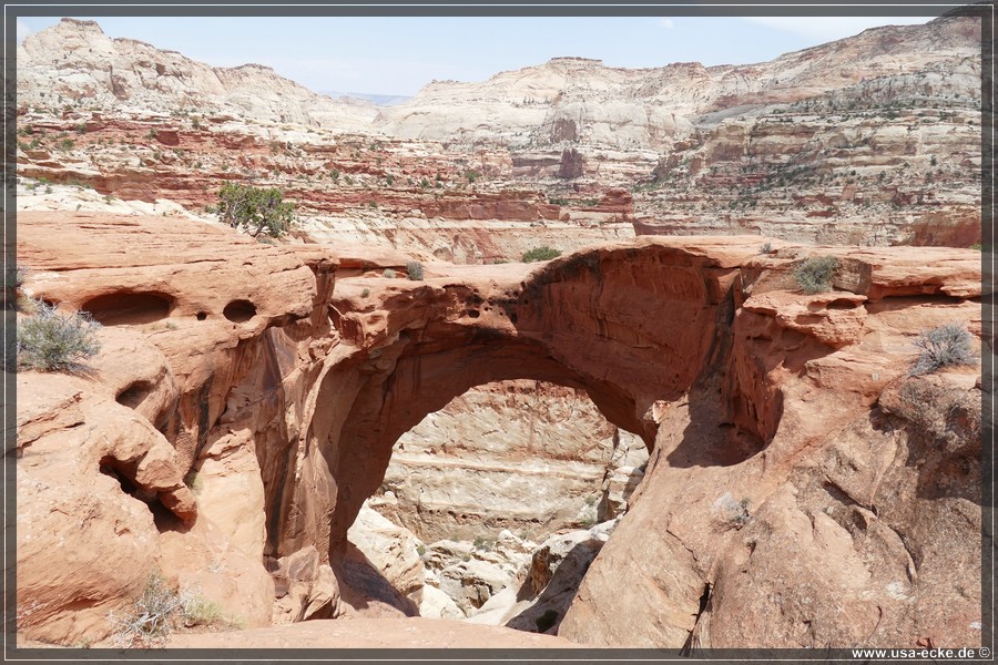 CapitolReef2017_017