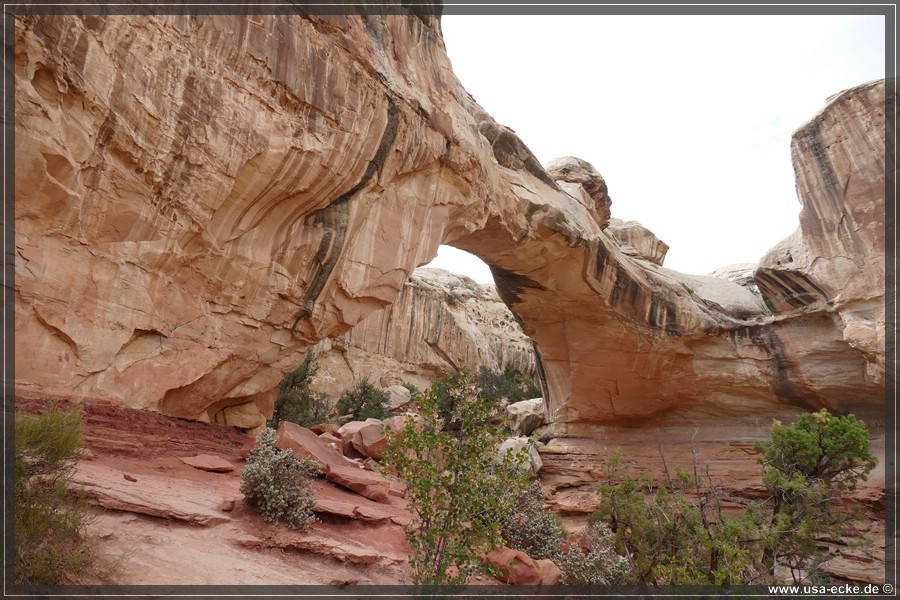 CapitolReef2017_018