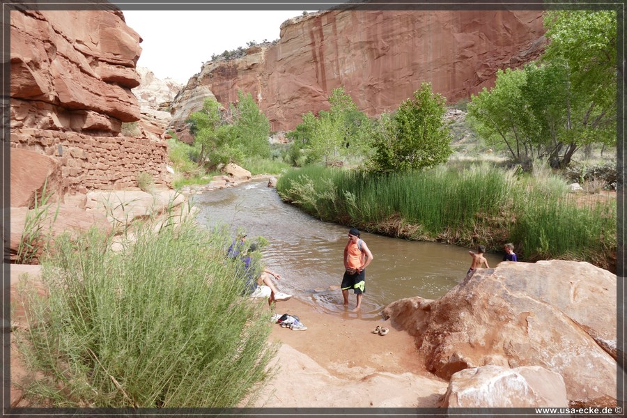 CapitolReef2017_019