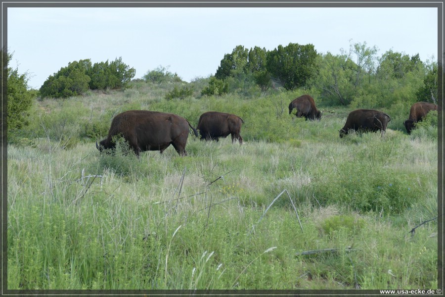 Caprock2016_017