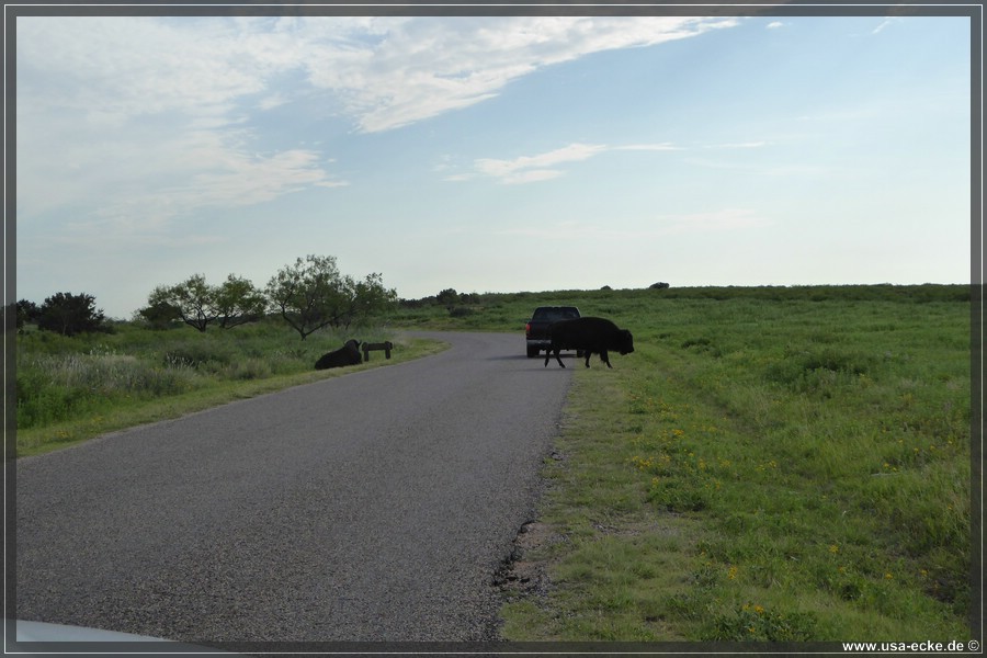 Caprock2016_018