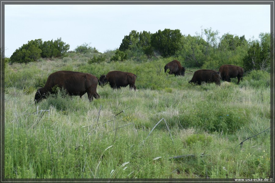 Caprock2016_019