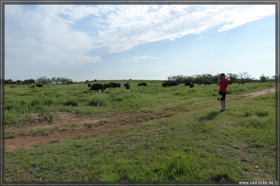 Caprock2016_020