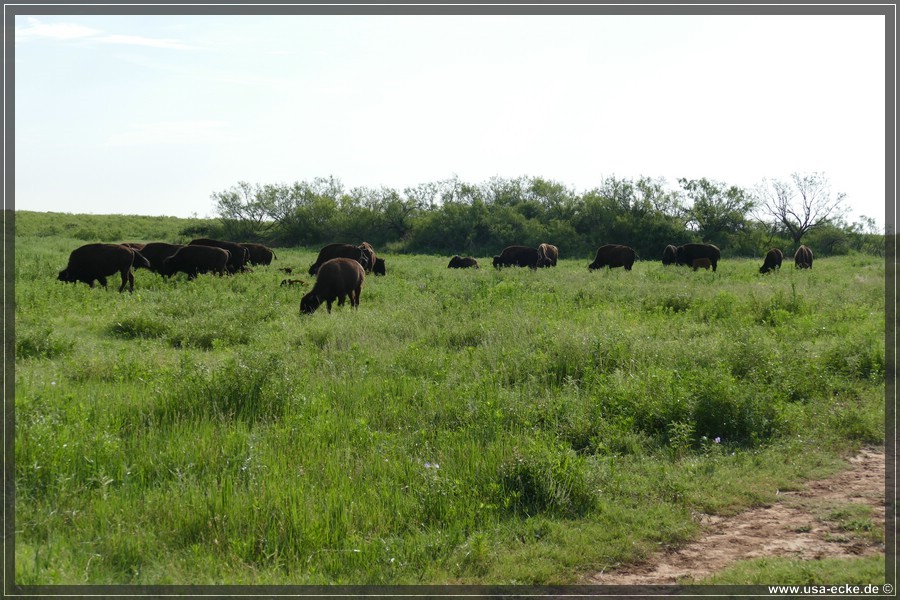 Caprock2016_021