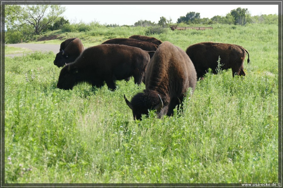 Caprock2016_022