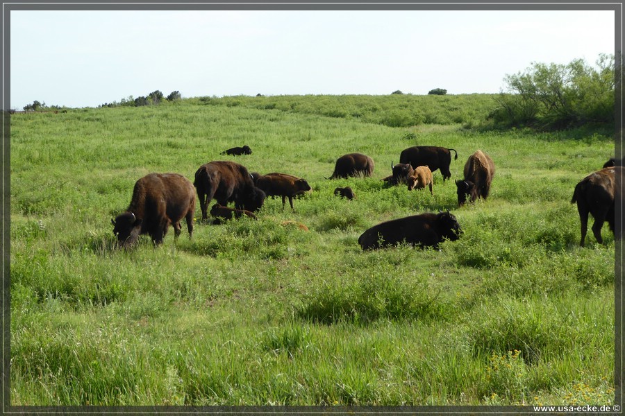 Caprock2016_023