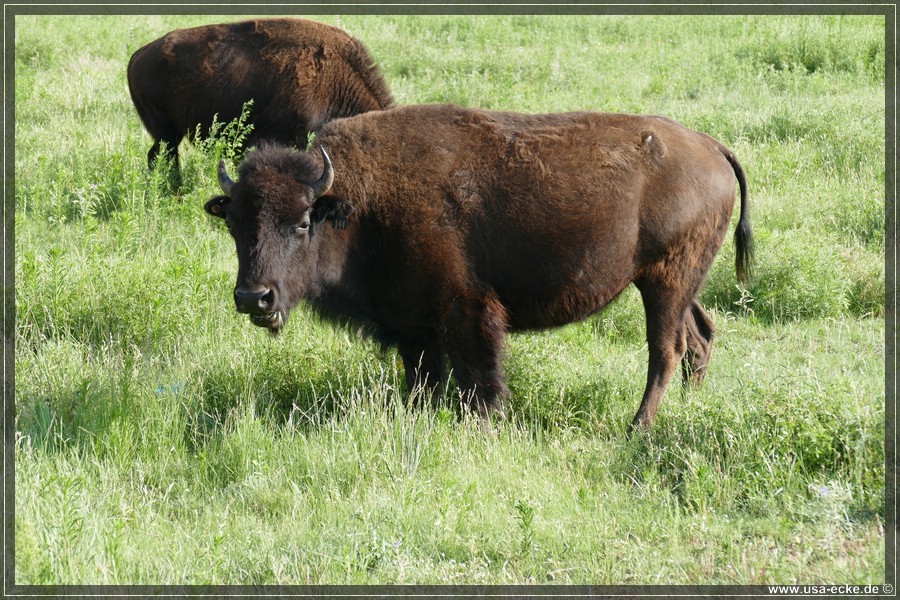 Caprock2016_025