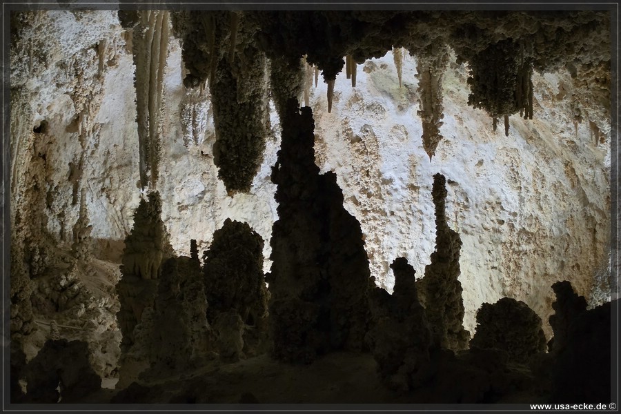 Carlsbad_Big_Room_2026_004
