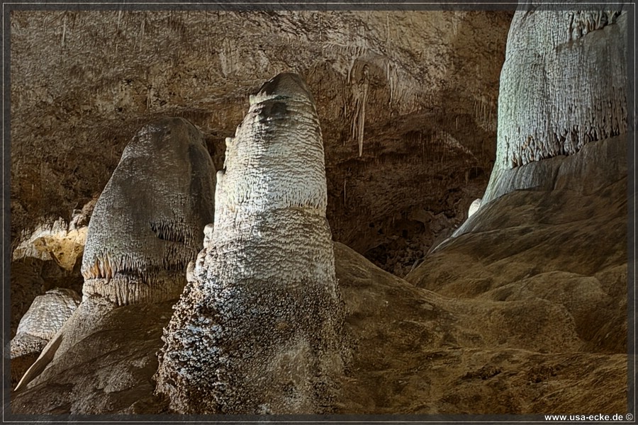 Carlsbad_Big_Room_2026_011