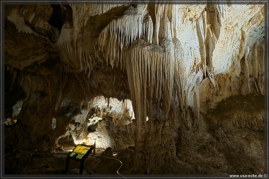 Carlsbad_Big_Room_2026_034