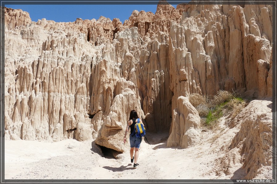 Cathedral_Gorge_2024_008