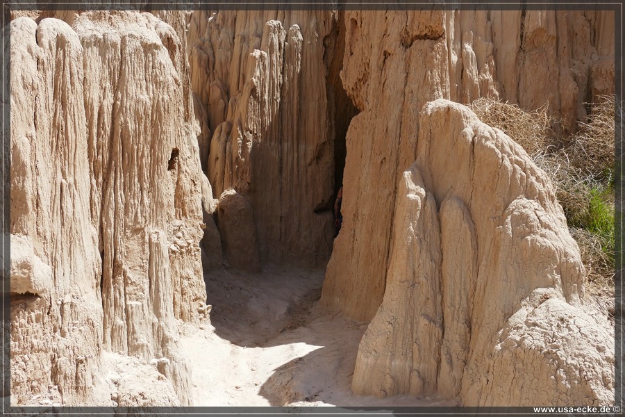 Cathedral_Gorge_2024_009