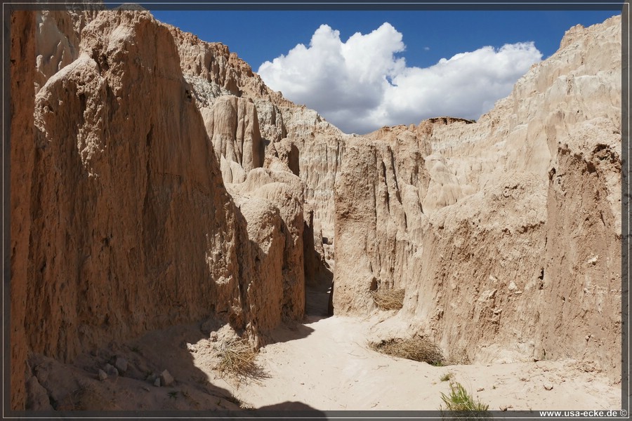 Cathedral_Gorge_2024_047