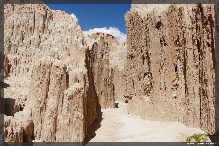 Cathedral_Gorge_2024_048