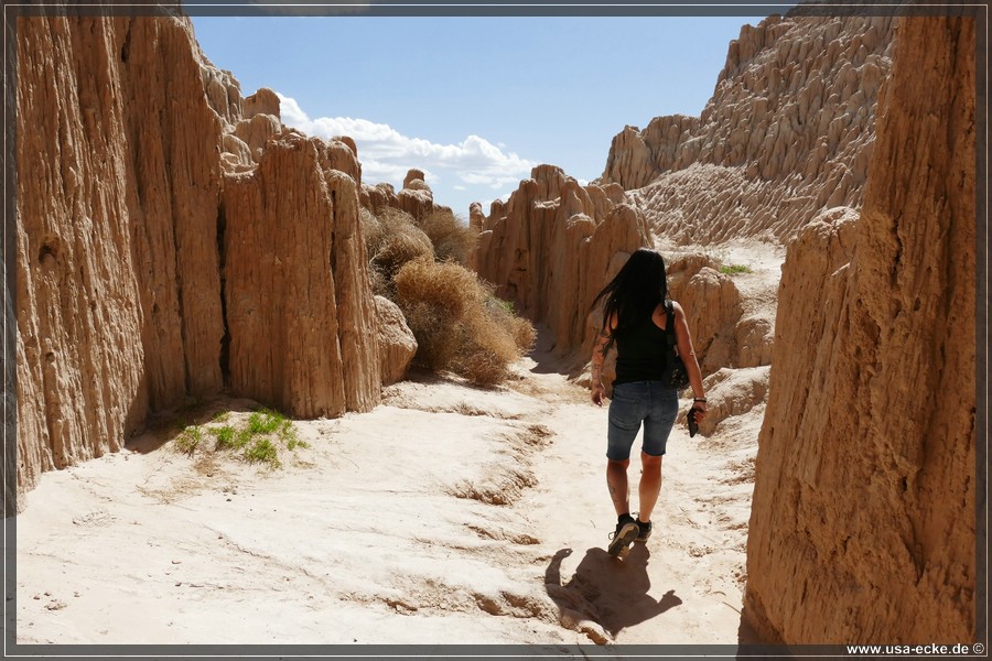 Cathedral_Gorge_2024_050