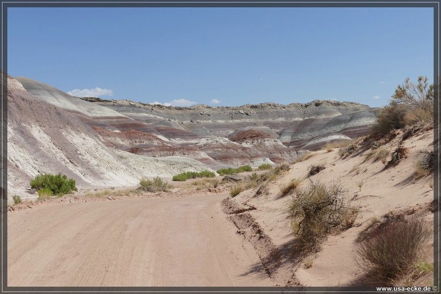 Cathedral_Valley_2025_073