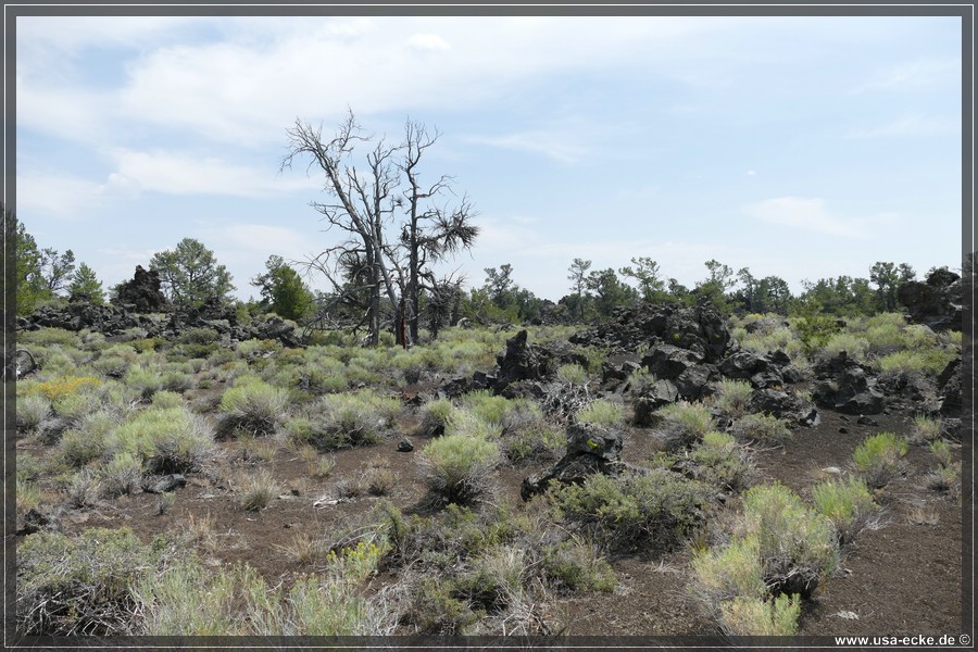 Craters_Moon_2025_018