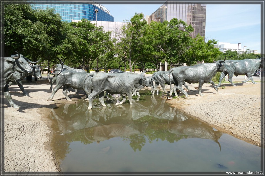 Dallas_019