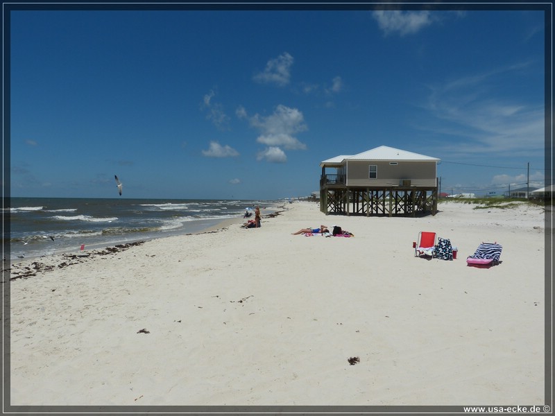 dauphin_island_08