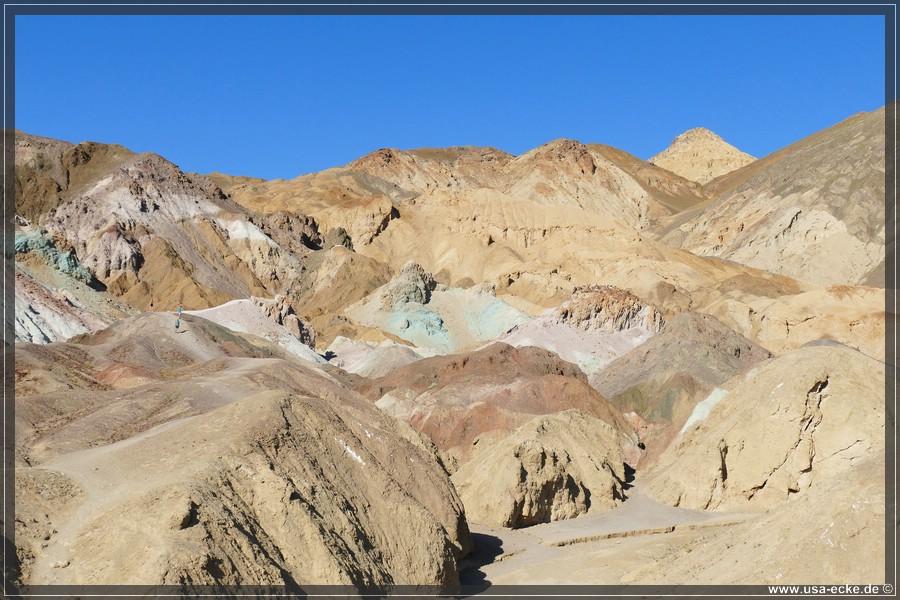 Artists_Palette_2024_028