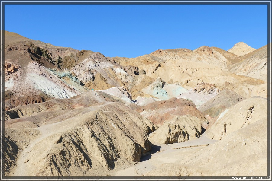 Artists_Palette_2024_030