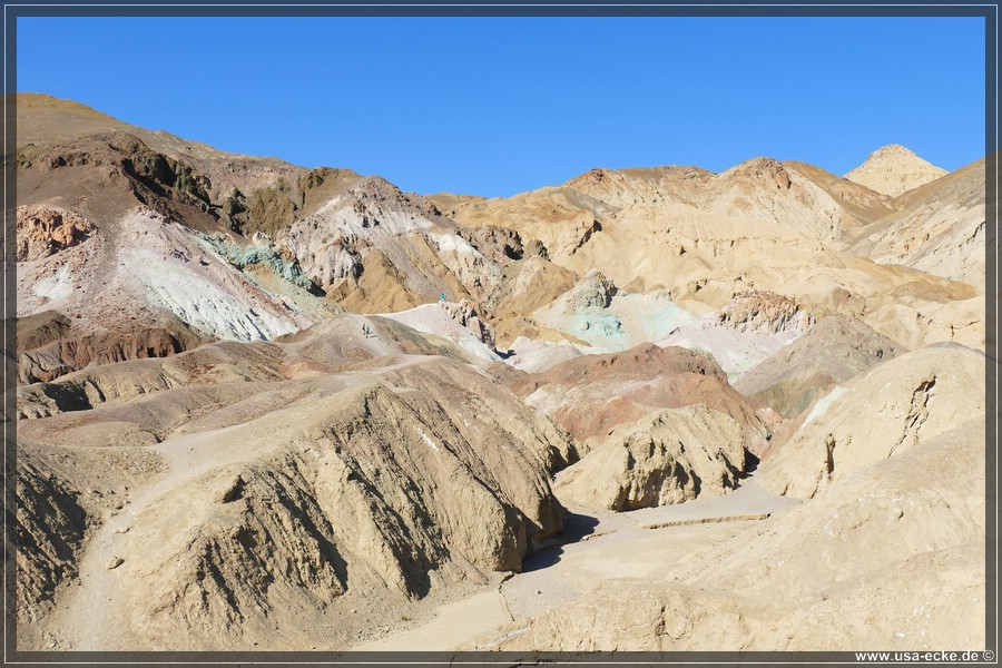 Artists_Palette_2024_032